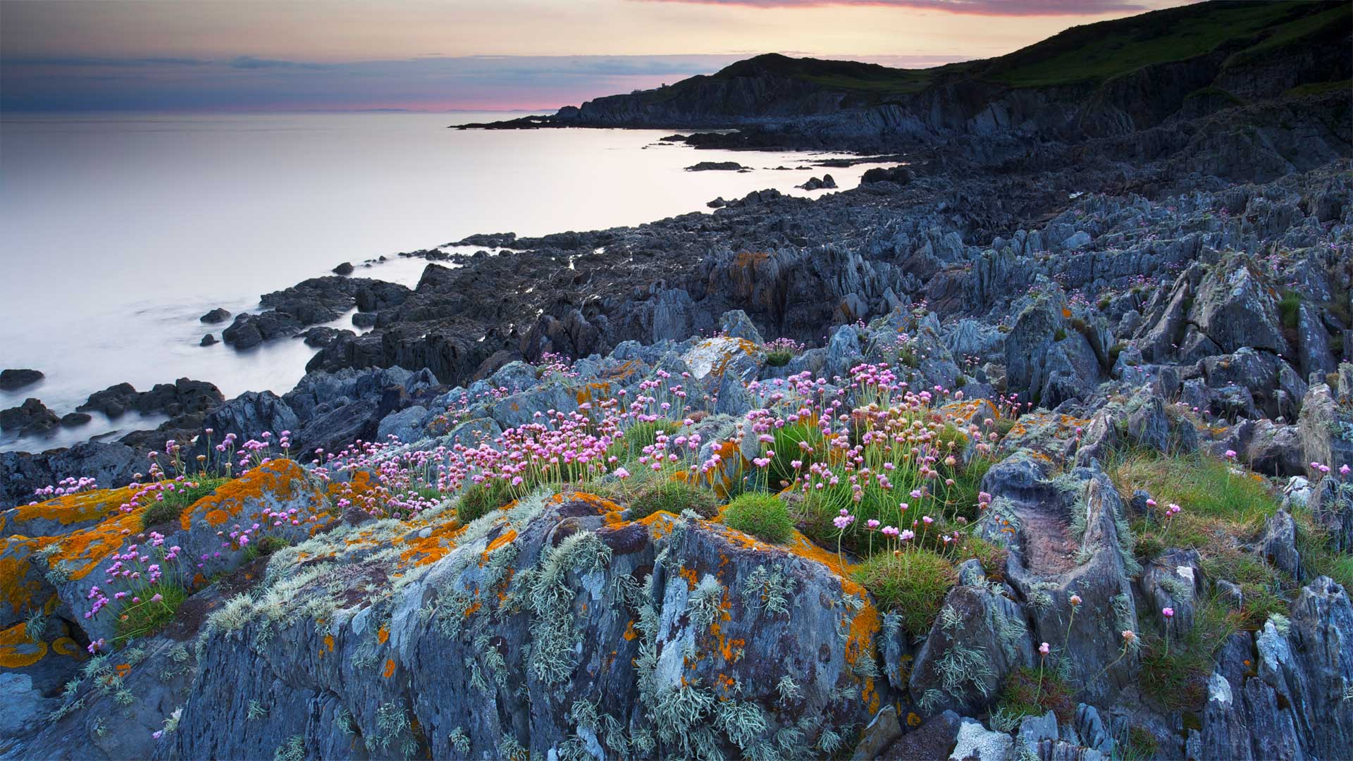 greys java在线诊断工具