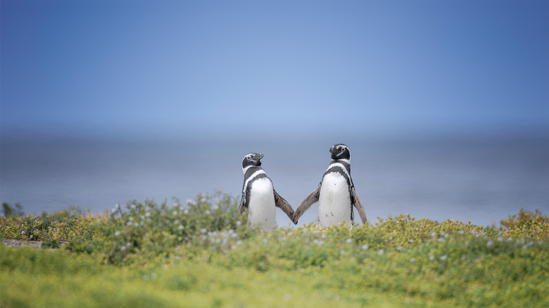 java 项目开启mysql binlog参数后报500错误：